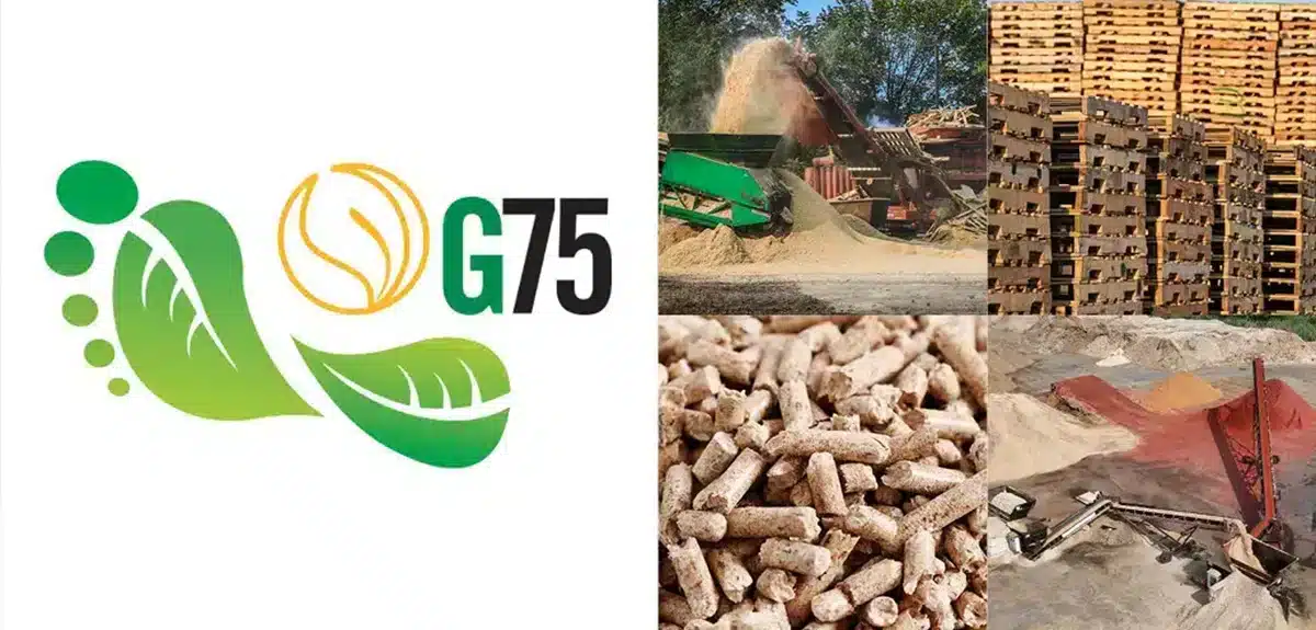 Kamps Pallets Wins Fourth Consecutive G75 Green Supply Chain Award